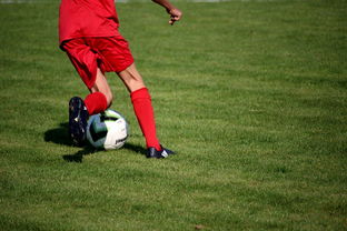 校园足球教练培训体系现状与改革思路，校园足球师资培训